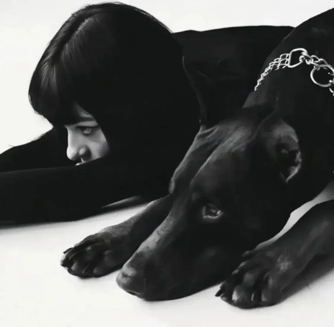 西檬之家-K9犬系是什么？BDSM圈的犬类角色扮演解析