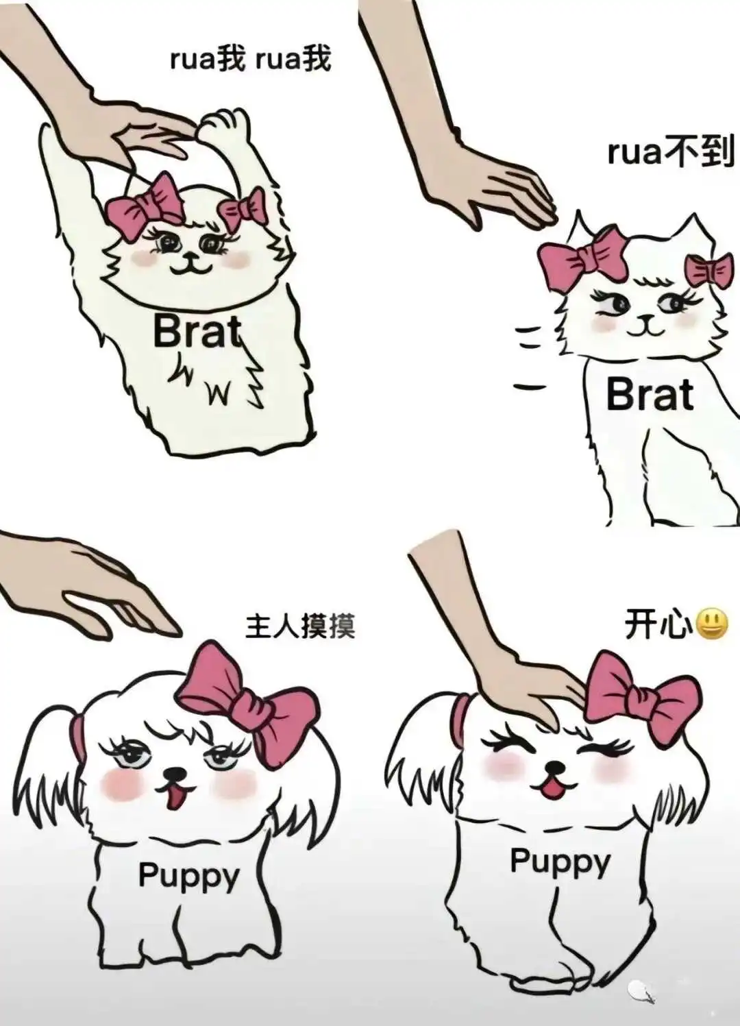 S - 2023_12_05_21_27_IMG_9363