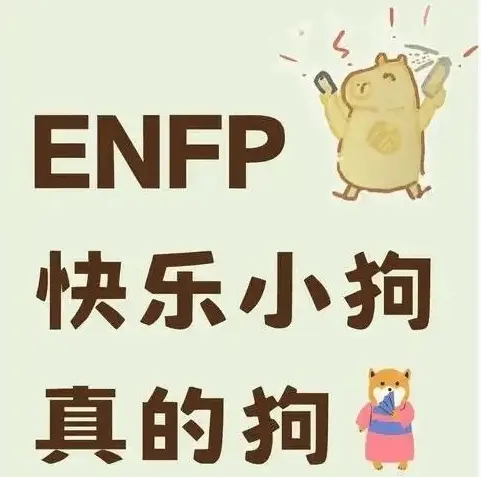 【西檬之家】DT是什么？字母圈新人入圈必备术语指南