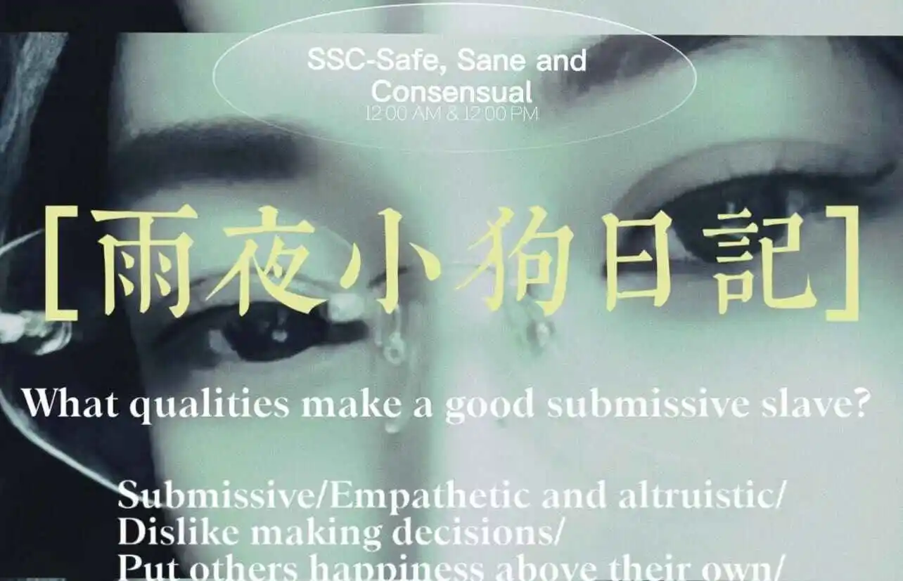 【西檬之家】Brat属性是什么？字母圈新人入圈指南