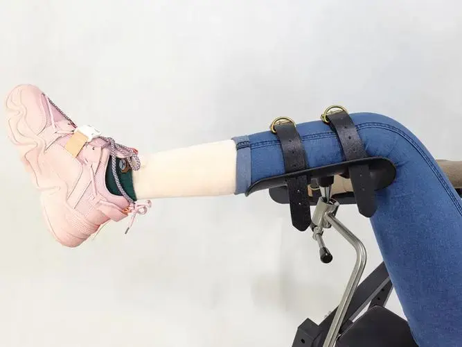k9犬系 - 11669