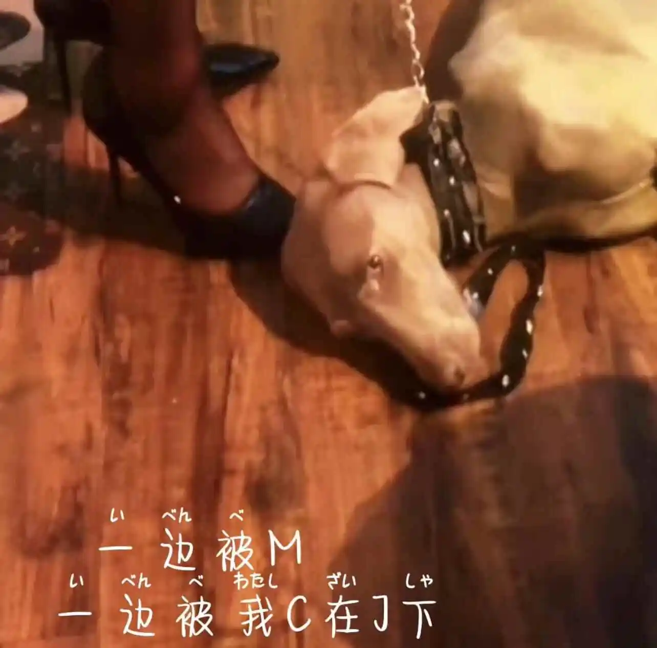 西檬之家-BDSM新人必看：大圈入门指南