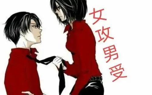 西檬之家-K8是什么？字母圈猫系角色的入门解析