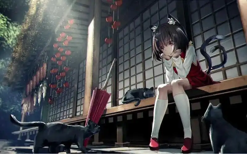 【西檬之家】新人入圈指南：解密字母圈S属性全知识