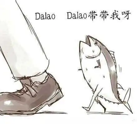 【西檬之家】新人向——从零开始认识字母圈的常见术语与文化