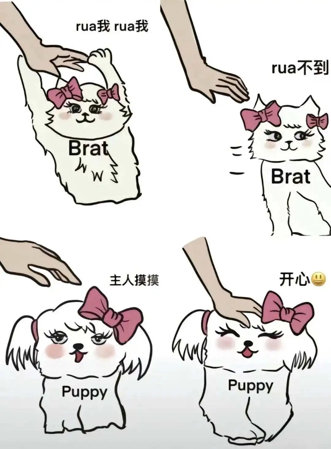 西檬之家-SM圈新人入圈指南，从SSC到安全词全面解析