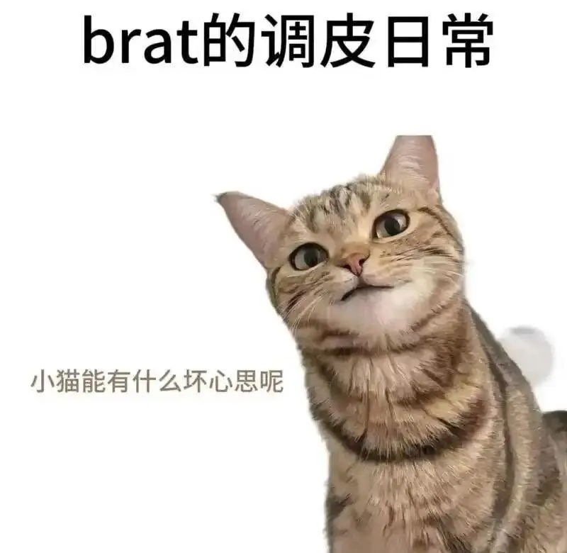 西檬之家-理解S属性：字母圈新人必读指南