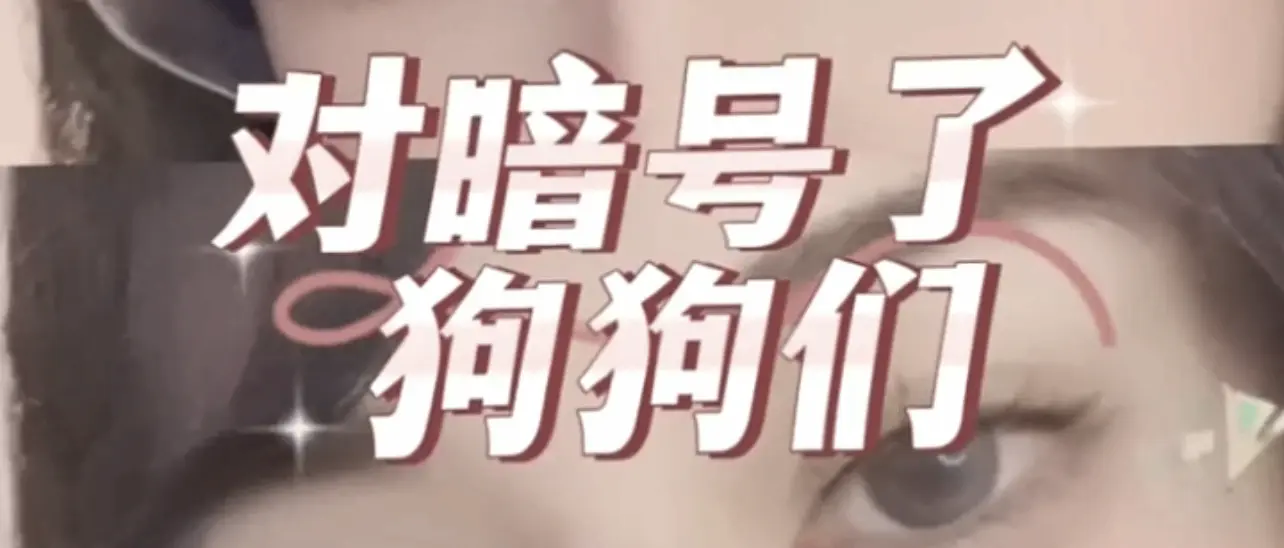 西檬之家-字母圈新人入圈指南：从BDSM到SSC原则